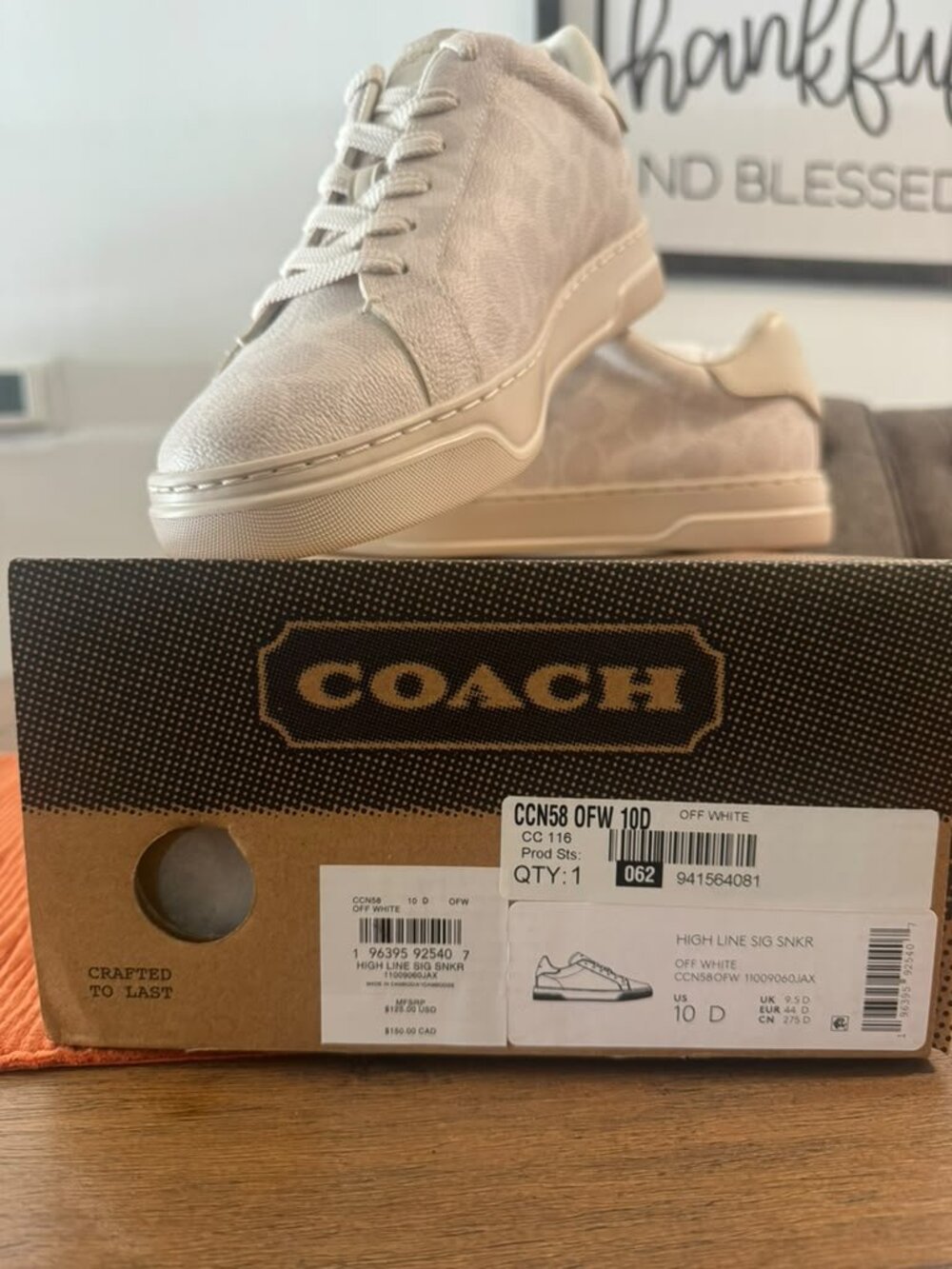 Men Coach Shoes